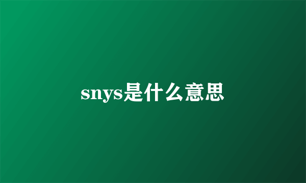 snys是什么意思