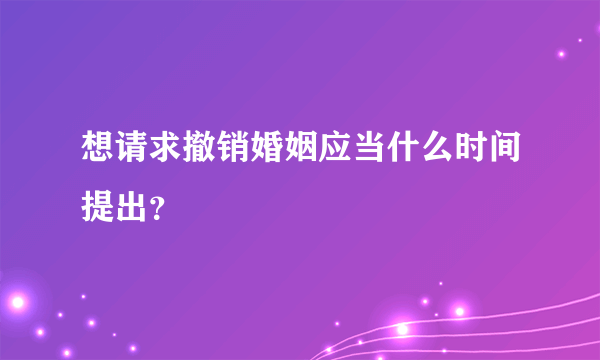 想请求撤销婚姻应当什么时间提出？