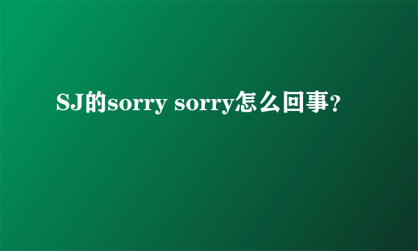 SJ的sorry sorry怎么回事？