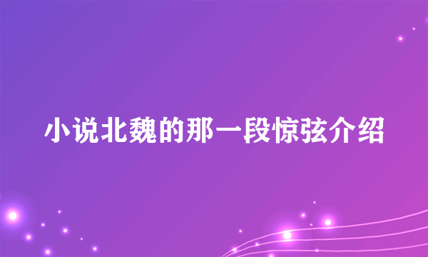 小说北魏的那一段惊弦介绍