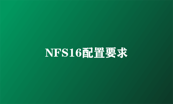 NFS16配置要求