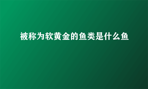 被称为软黄金的鱼类是什么鱼