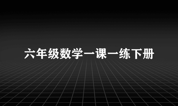 六年级数学一课一练下册