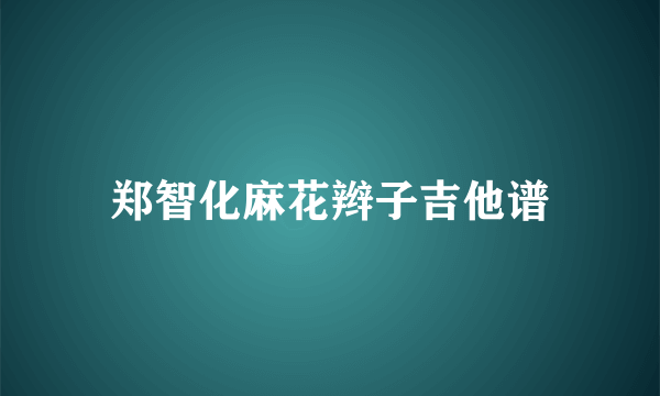 郑智化麻花辫子吉他谱