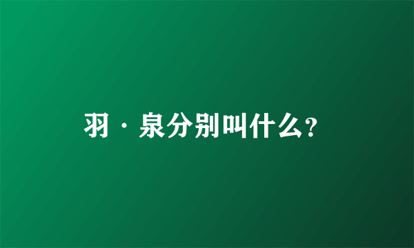 羽·泉分别叫什么？