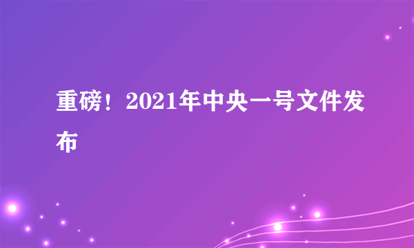 重磅！2021年中央一号文件发布