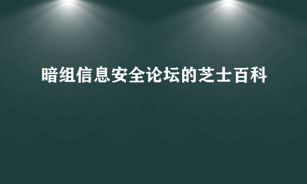 暗组信息安全论坛的芝士百科