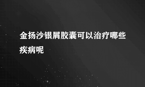 金扬沙银屑胶囊可以治疗哪些疾病呢