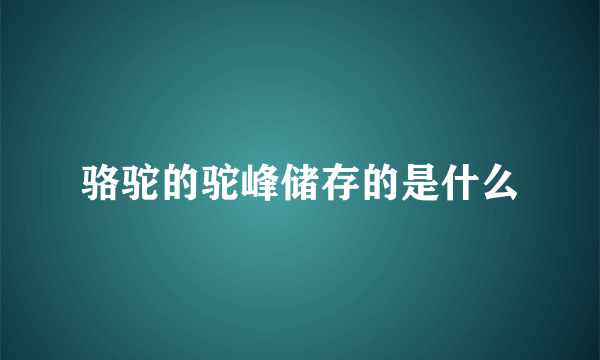 骆驼的驼峰储存的是什么