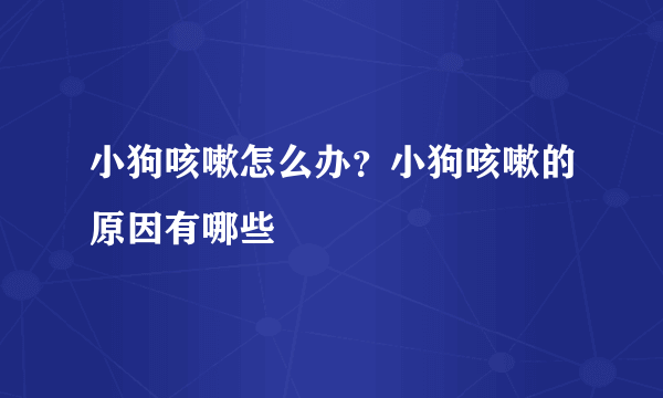 小狗咳嗽怎么办？小狗咳嗽的原因有哪些