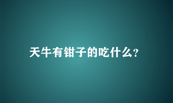 天牛有钳子的吃什么？