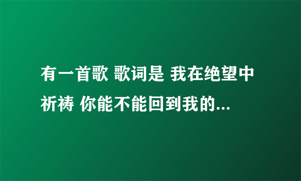 有一首歌 歌词是 我在绝望中祈祷 你能不能回到我的身边 还有 一句是就算等来的是一句谎言