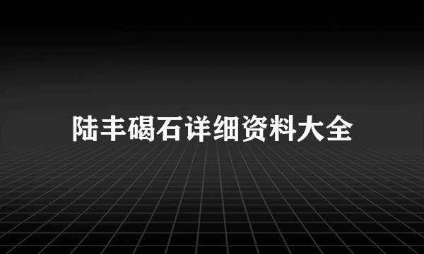 陆丰碣石详细资料大全