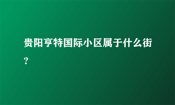 贵阳亨特国际小区属于什么街？