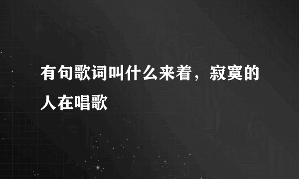 有句歌词叫什么来着，寂寞的人在唱歌