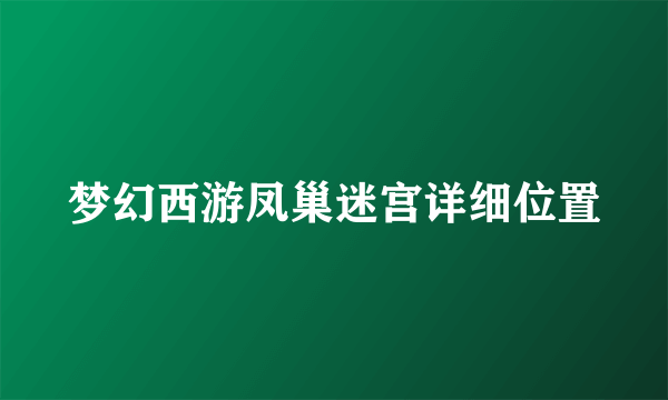 梦幻西游凤巢迷宫详细位置