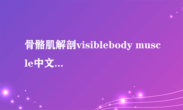 骨骼肌解剖visiblebody muscle中文版安装及设置