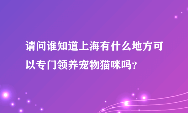 请问谁知道上海有什么地方可以专门领养宠物猫咪吗？