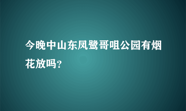 今晚中山东凤鹭哥咀公园有烟花放吗？