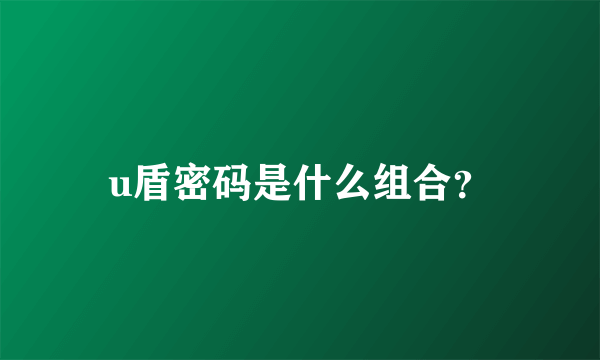 u盾密码是什么组合？