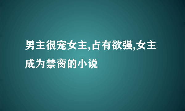 男主很宠女主,占有欲强,女主成为禁脔的小说