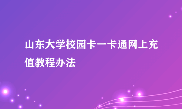 山东大学校园卡一卡通网上充值教程办法