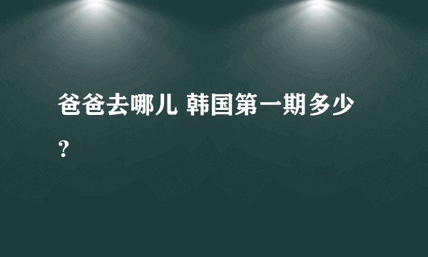 爸爸去哪儿 韩国第一期多少？