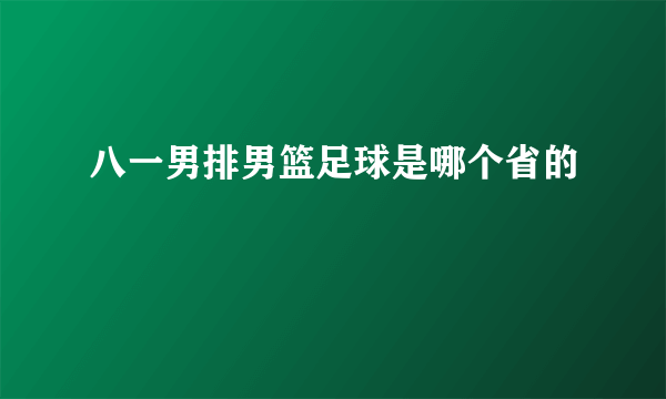 八一男排男篮足球是哪个省的