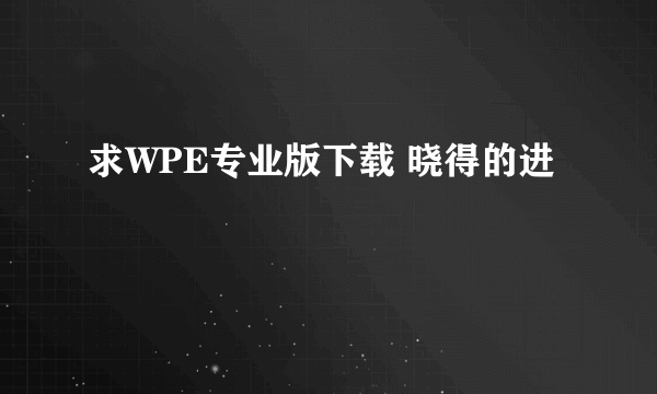 求WPE专业版下载 晓得的进