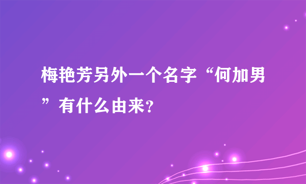 梅艳芳另外一个名字“何加男”有什么由来？