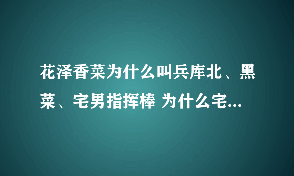 花泽香菜为什么叫兵库北、黑菜、宅男指挥棒 为什么宅男都喜欢她