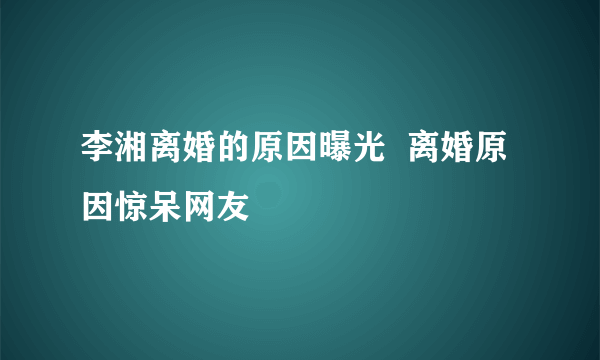 李湘离婚的原因曝光  离婚原因惊呆网友