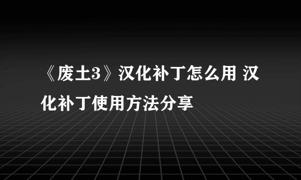 《废土3》汉化补丁怎么用 汉化补丁使用方法分享