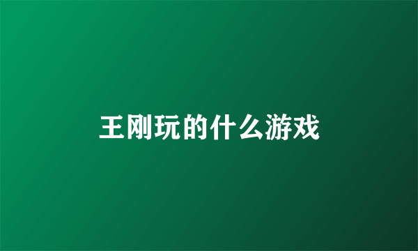 王刚玩的什么游戏