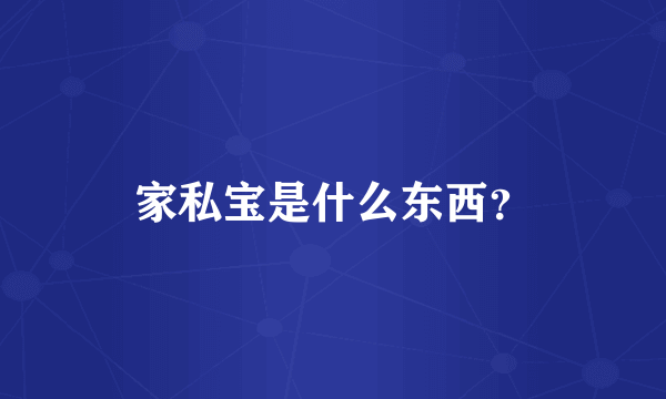 家私宝是什么东西？