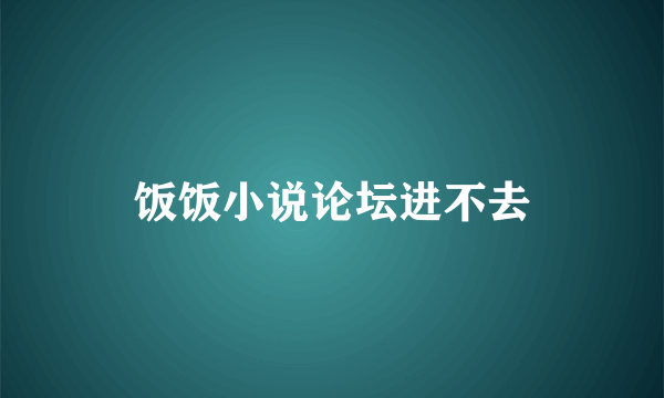 饭饭小说论坛进不去