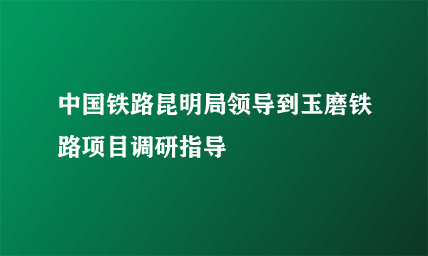 中国铁路昆明局领导到玉磨铁路项目调研指导