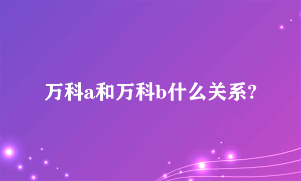 万科a和万科b什么关系?