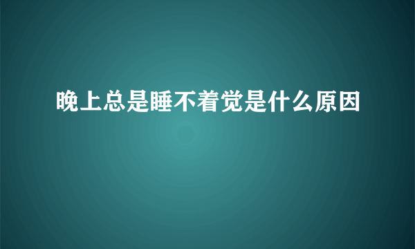 晚上总是睡不着觉是什么原因