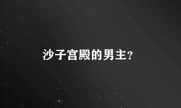 沙子宫殿的男主？