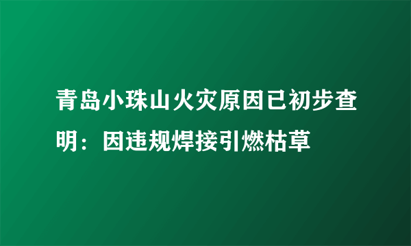 青岛小珠山火灾原因已初步查明：因违规焊接引燃枯草