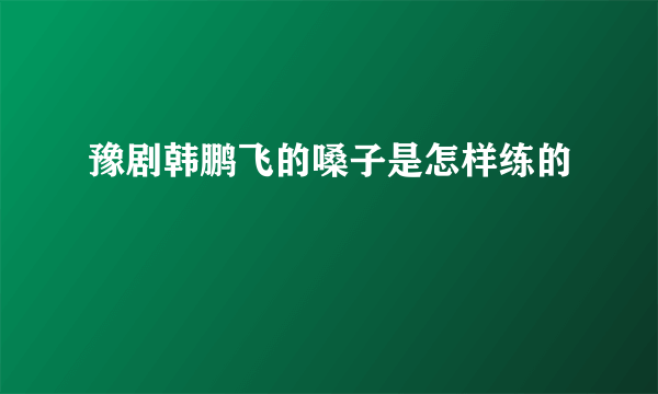 豫剧韩鹏飞的嗓子是怎样练的