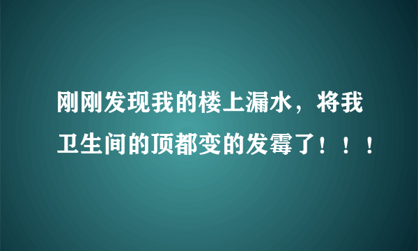 刚刚发现我的楼上漏水，将我卫生间的顶都变的发霉了！！！