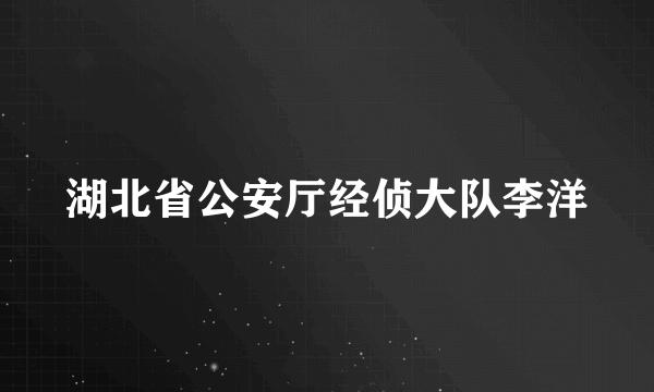 湖北省公安厅经侦大队李洋