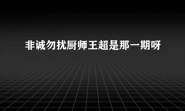 非诚勿扰厨师王超是那一期呀