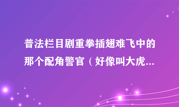 普法栏目剧重拳插翅难飞中的那个配角警官（好像叫大虎）是谁演的？