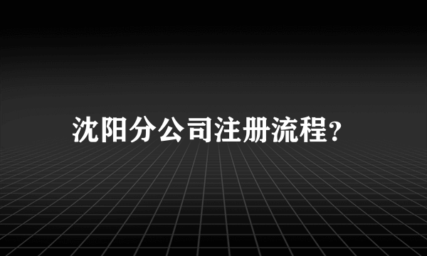 沈阳分公司注册流程？