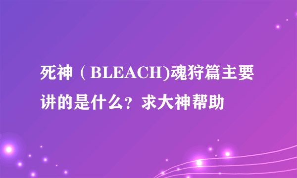 死神（BLEACH)魂狩篇主要讲的是什么？求大神帮助