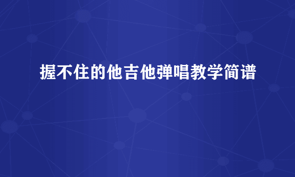 握不住的他吉他弹唱教学简谱