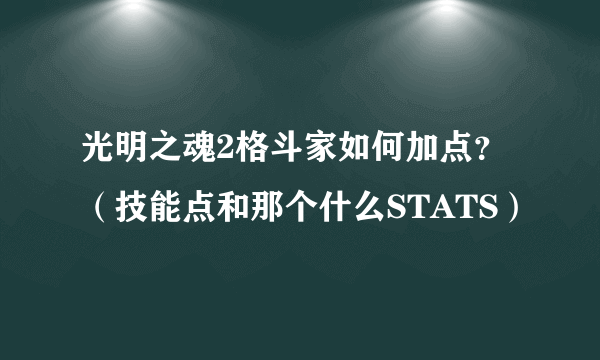 光明之魂2格斗家如何加点？（技能点和那个什么STATS）